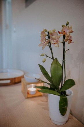 Lavender BnB